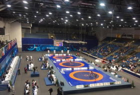 Azerbaijani wrestlers win two world bronzes 